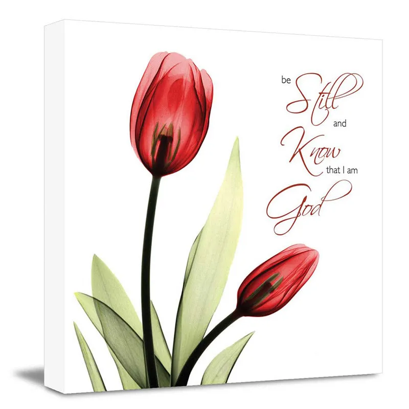 Andrewsa Floral Wall Art media 3