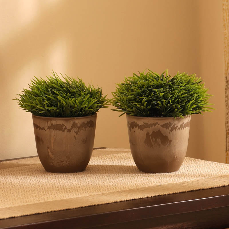 Set Of Two