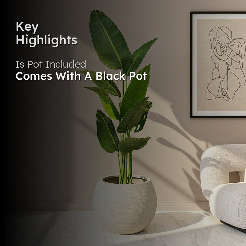 Floris Artificial Banana Plant With Black Plastic Pot - 5.1 Feet media 2