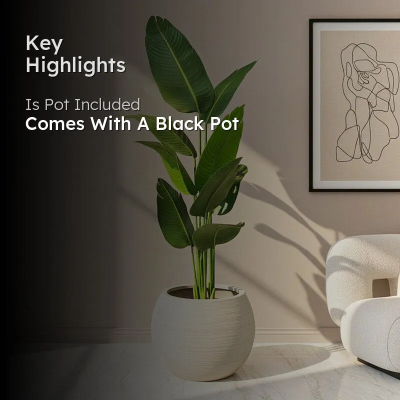 Floris Artificial Banana Plant With Black Plastic Pot - 5.1 Feet media 2