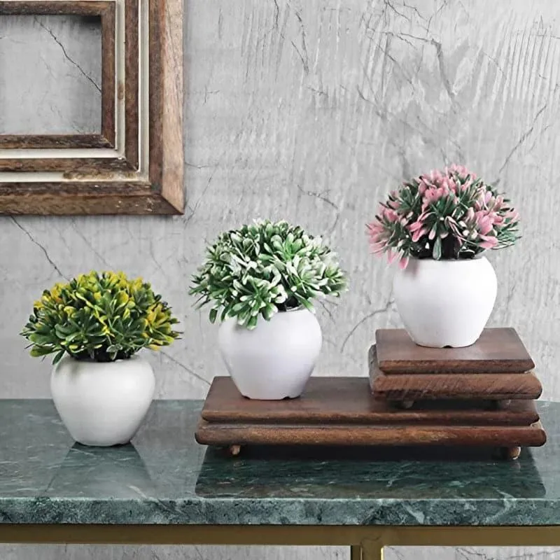 Chlora Faux Plant In Apple Pot - Set Of Three media 1