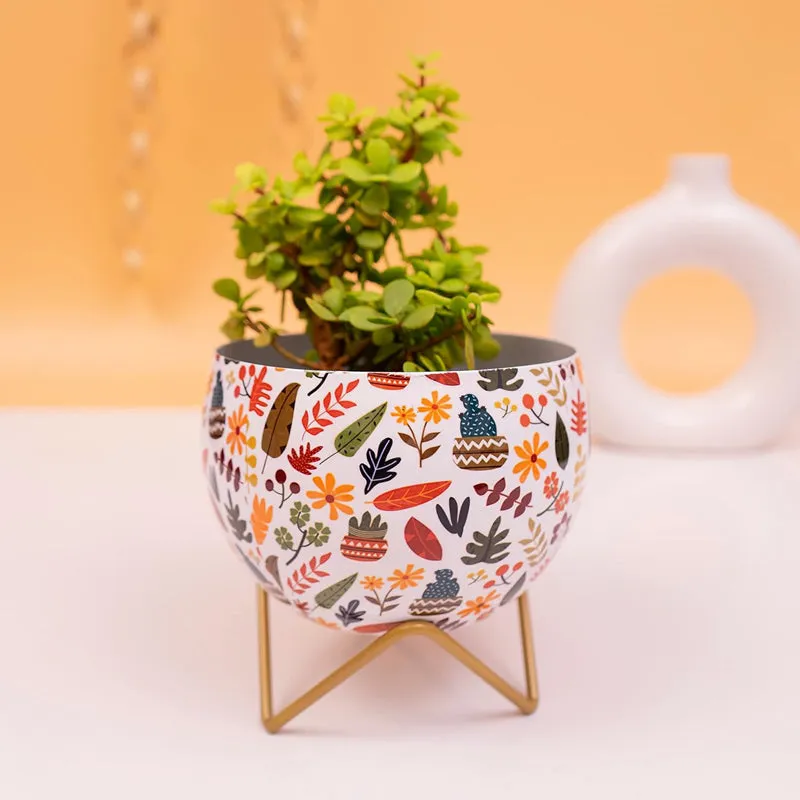 Kyari Pulvinus Metal Planter With Stand media 2