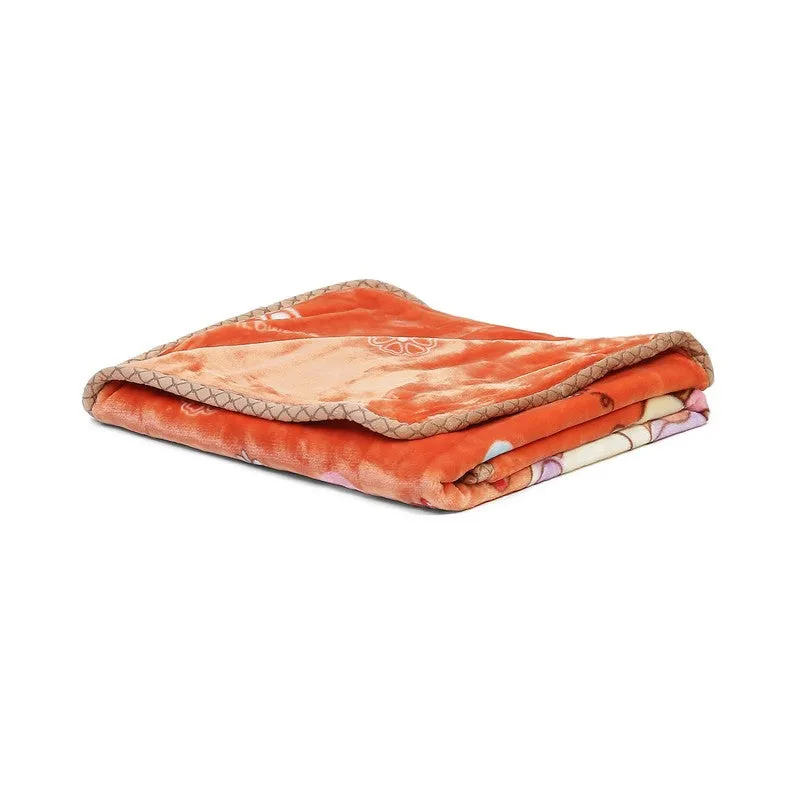 Monte Carlo Teddy Bear Blanket - 550 GSM media 4