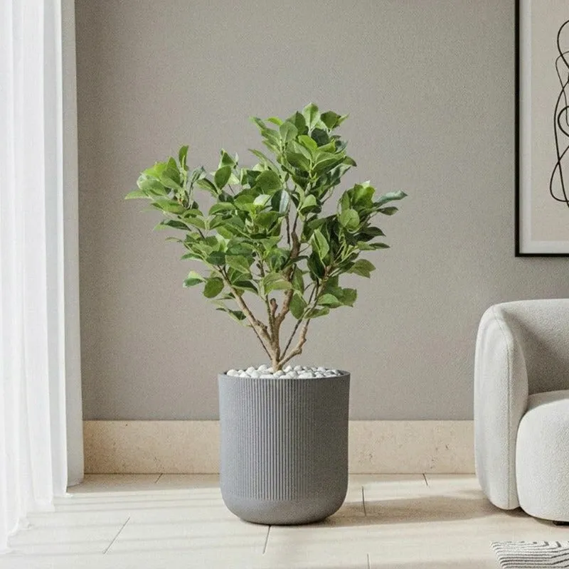 Velora Floor Planter - Grey - 4