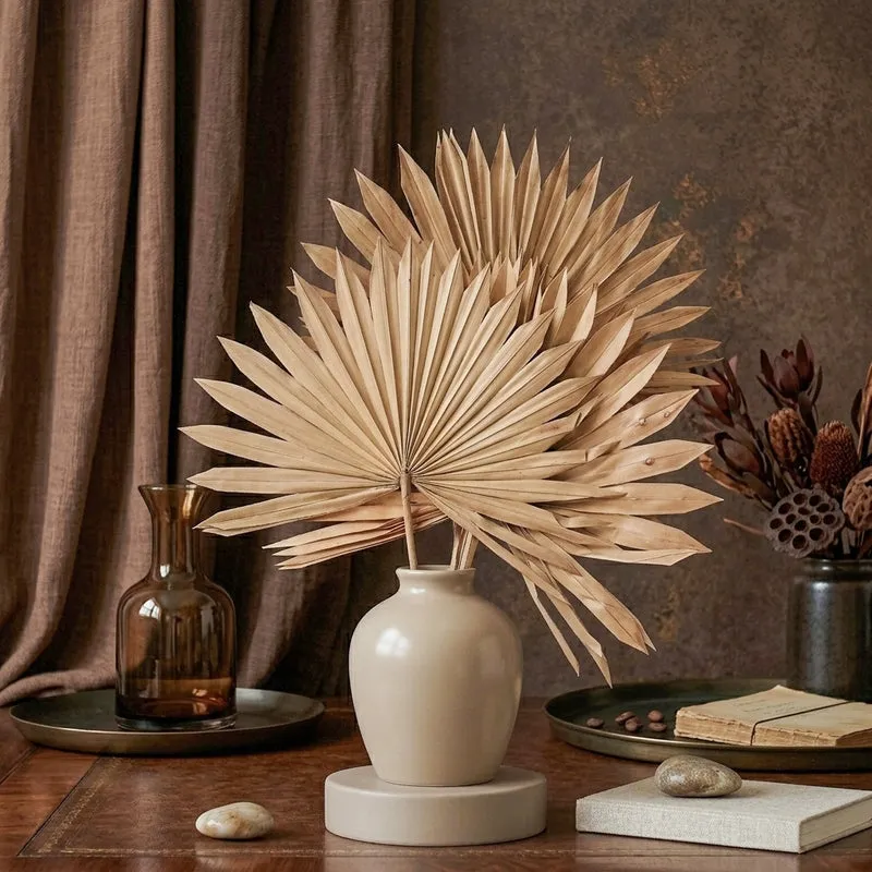 (Brown) Sun Palm Spear (20 cms) - Set Of Five Stems media 4