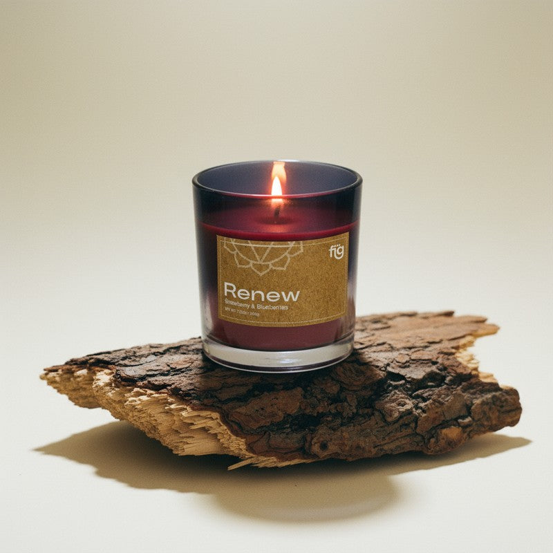 Fig Living Renew Berries Palm Wax Scented Candle media 8