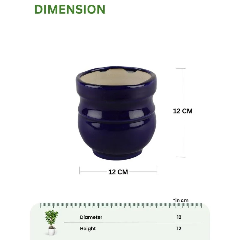 VelourVista Pots Blue - Set Of Two media 10
