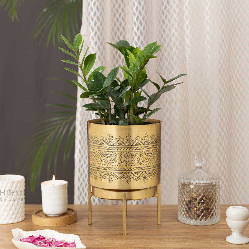 Vinyas Raaga Golden Planter with Stand media 2