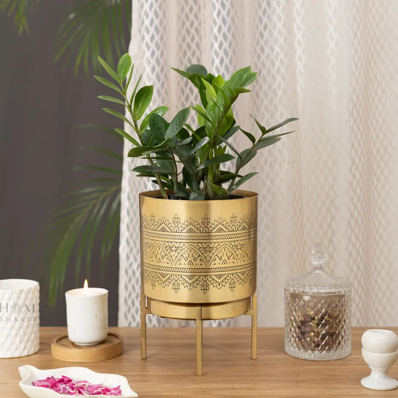 Vinyas Raaga Golden Planter with Stand media 2