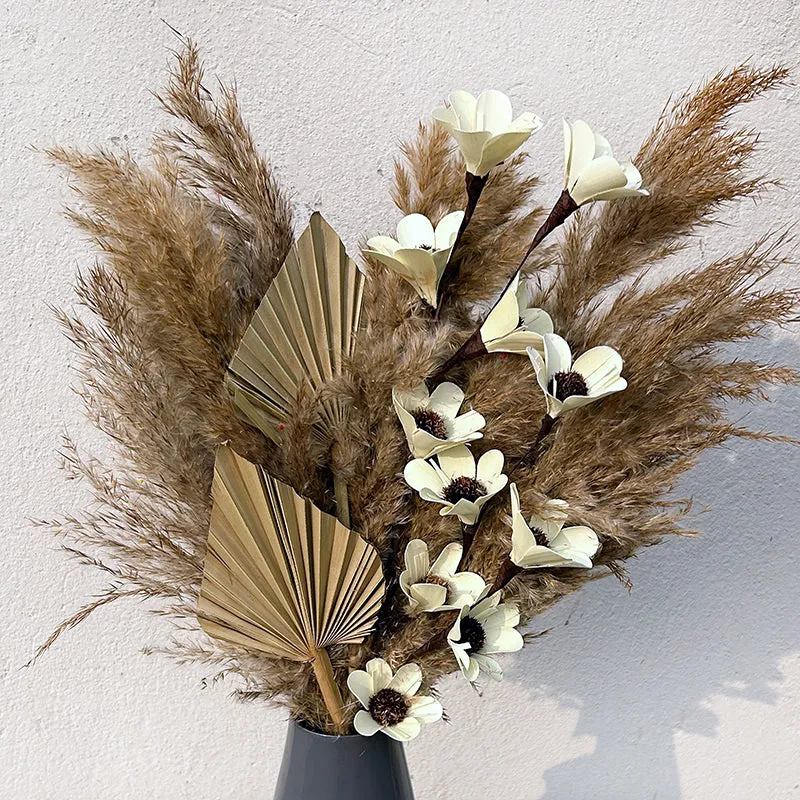 Sahara Dreams Dried Flower - Brown media 5