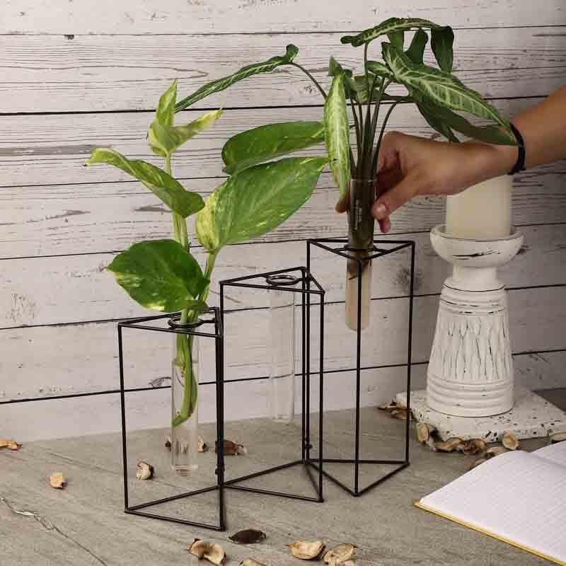 Trigonometry Testube Planter media 3