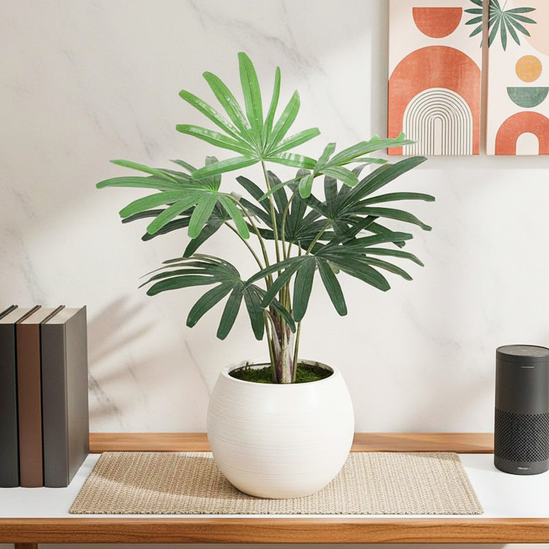 Pureleaf Rhapis Palm Artificial Plant Without Pot - 2.6 Feet