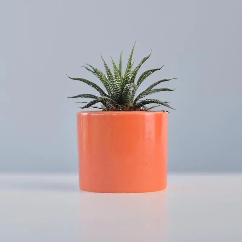 Ugaoo Pipe Orange Ceramic Pot media 2