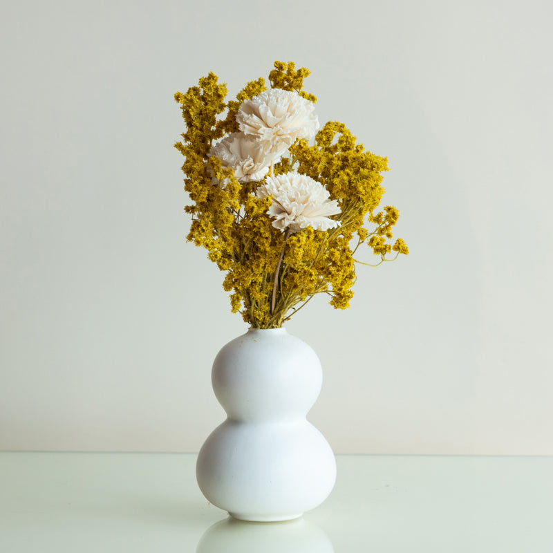 Dried Flowers & Leaves