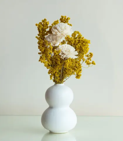 Dried Flowers & Leaves