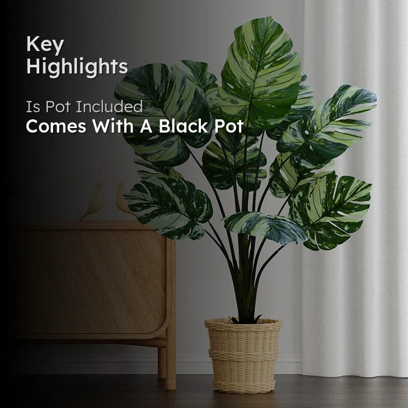 Faux  Tropical Monstera Artificial With Black Plastic Pot - 135 cm (4.4 ft) media 2