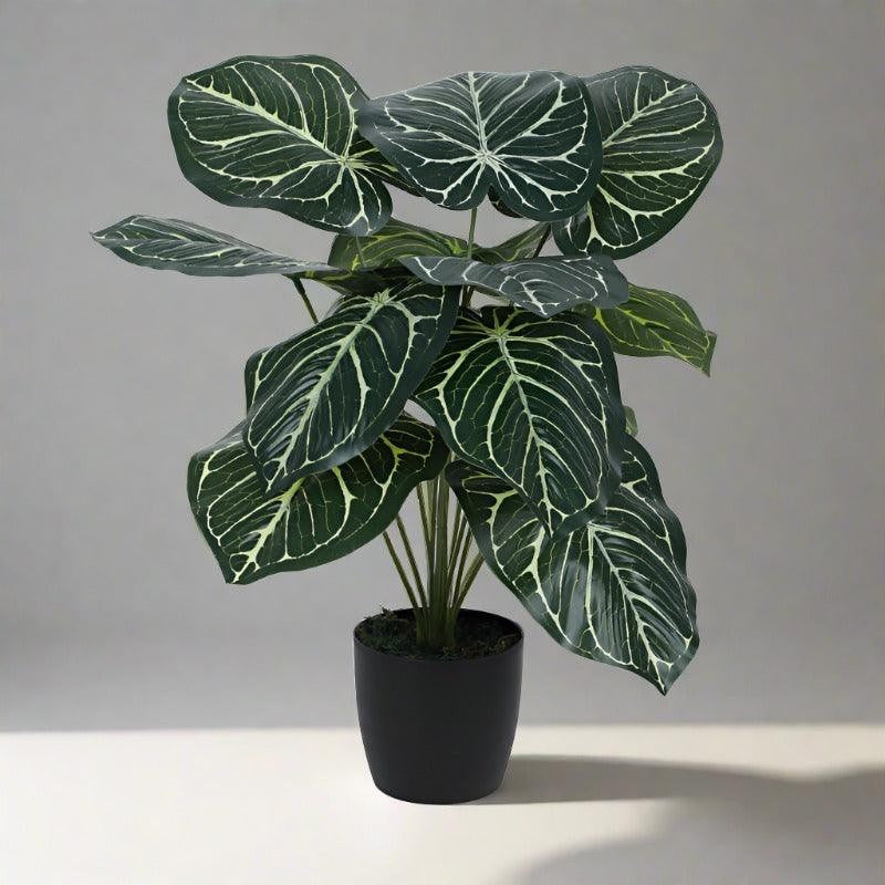 RealTouch Artificial Foliage Plant With Black Fiber Pot - 0.6 Feet media 5