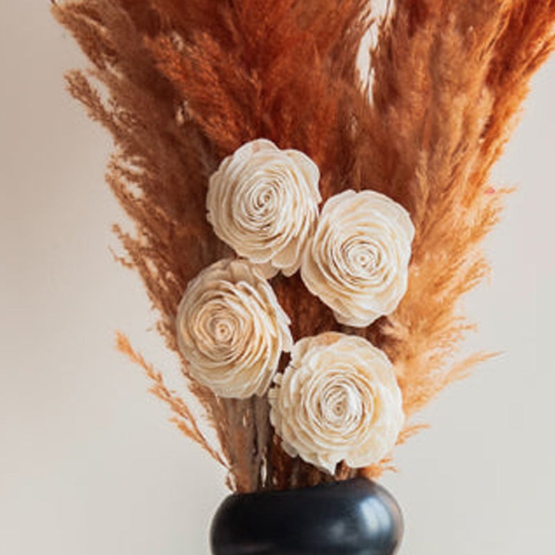 Sittora Pampas Bunch (Honey) - Set Of Fourteen media 5