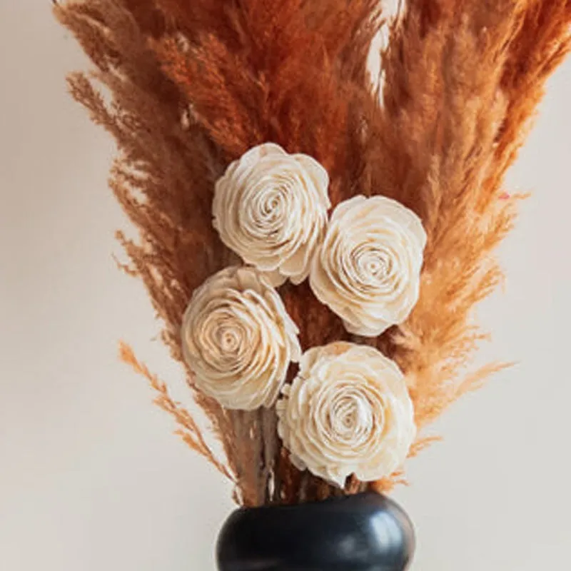 Sittora Pampas Bunch (Honey) - Set Of Fourteen media 5