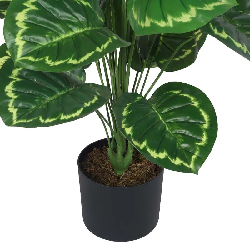 Faux Lush Calanthea Plant With Black Plastic Pot - 3.3 Feet media 5