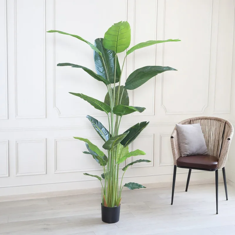 Green Haven Artificial Plant With Black Plastic Pot - 6.3 ft media 4