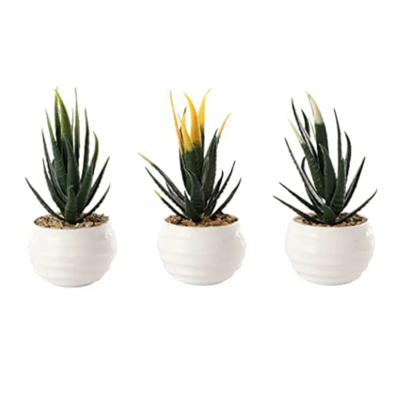 Leda Faux Plant In Borga Pot (13 cms) - Set Of Three media 3