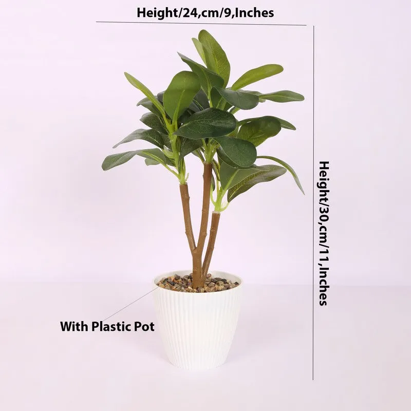 Ficus Bonsai Artificial Plant With Black Plastic Pot - Green media 6