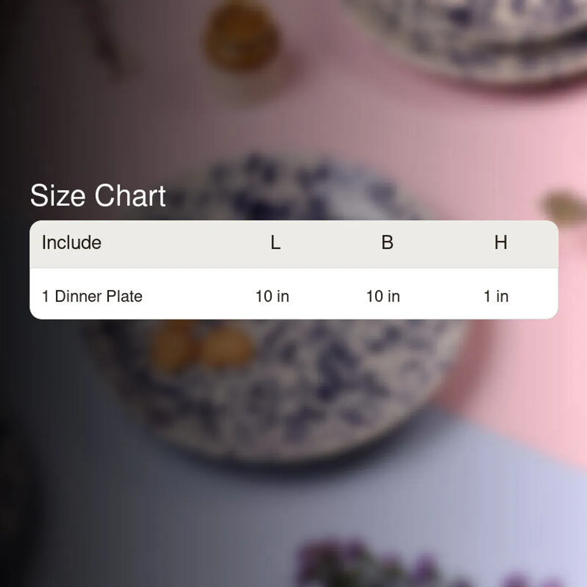 Blurred dinner plate background with size chart overlay