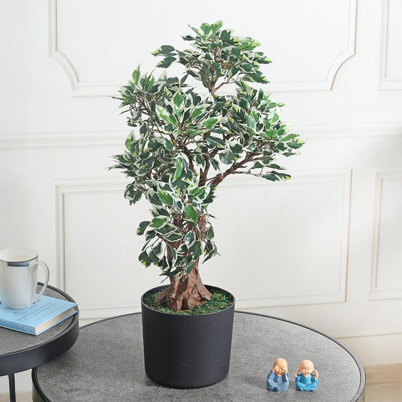 Verdant Vibes Artificial Plant With Black Plastic Pot media 3
