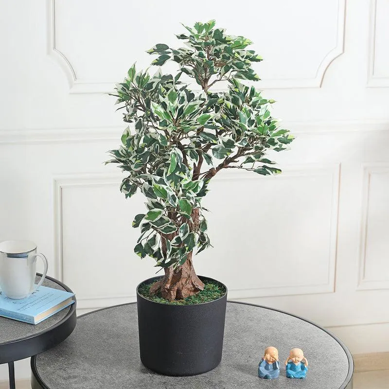 Verdant Vibes Artificial Plant With Black Plastic Pot media 3