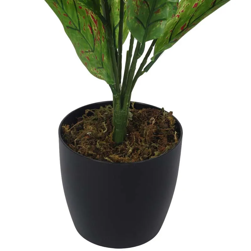 Faux Lush Dieffenbachia Plant With Black Plastic Pot - 2.3 Feet media 6