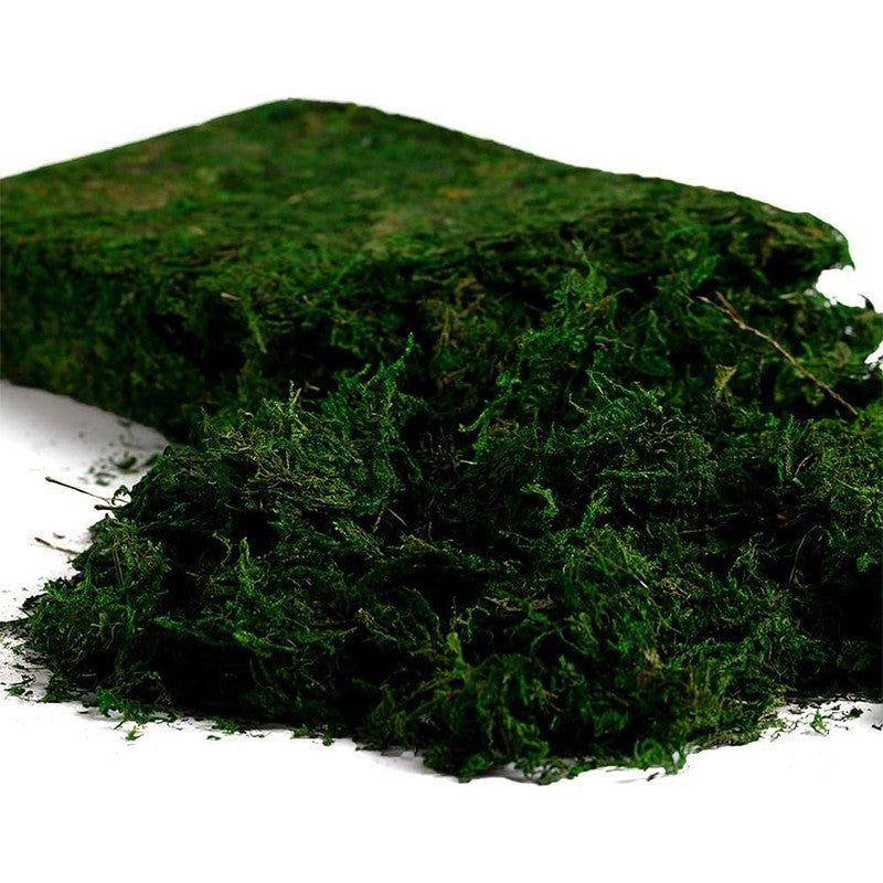 Lifelike Artificial Soft Moss - Green media 3