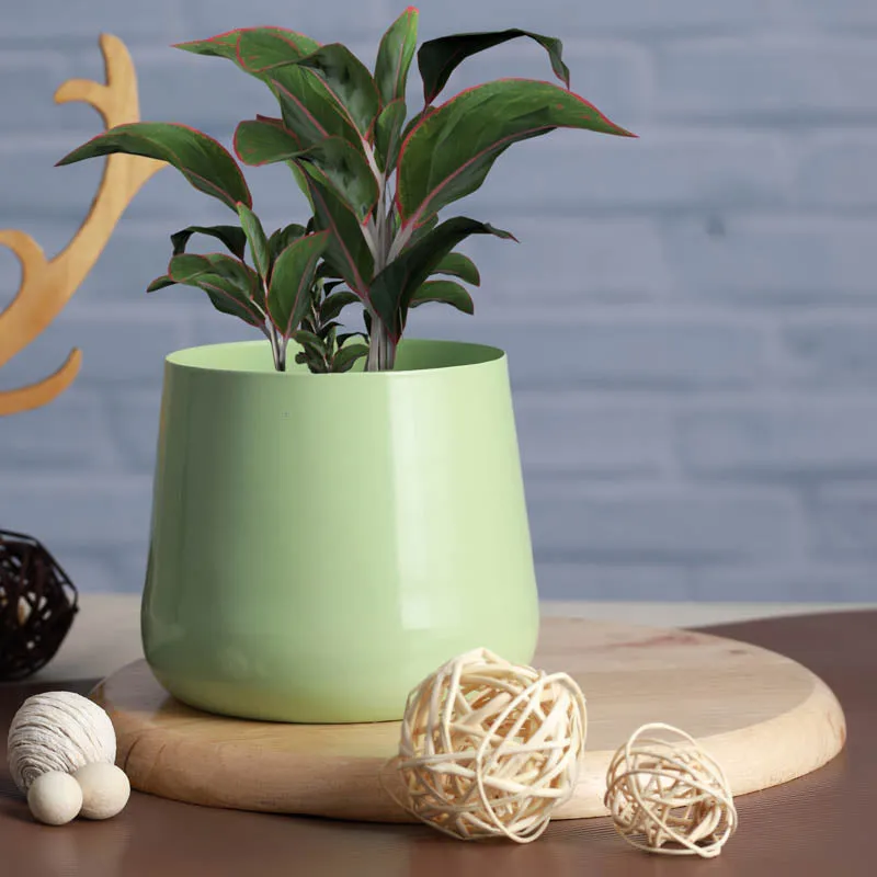 Melva Handcrafted Planter - Green media 5