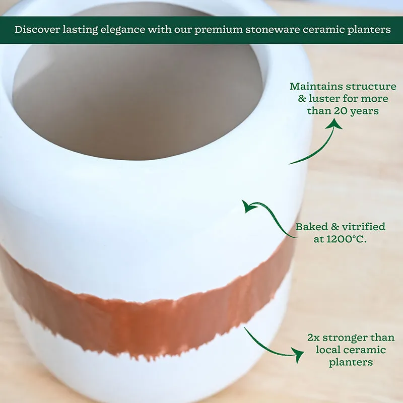 Ugaoo Meadow Mate Ceramic Planter - Terracotta media 5