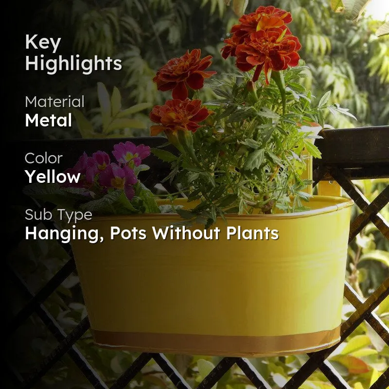 Norva Hanging Planter (Yellow) - Set Of Six media 2