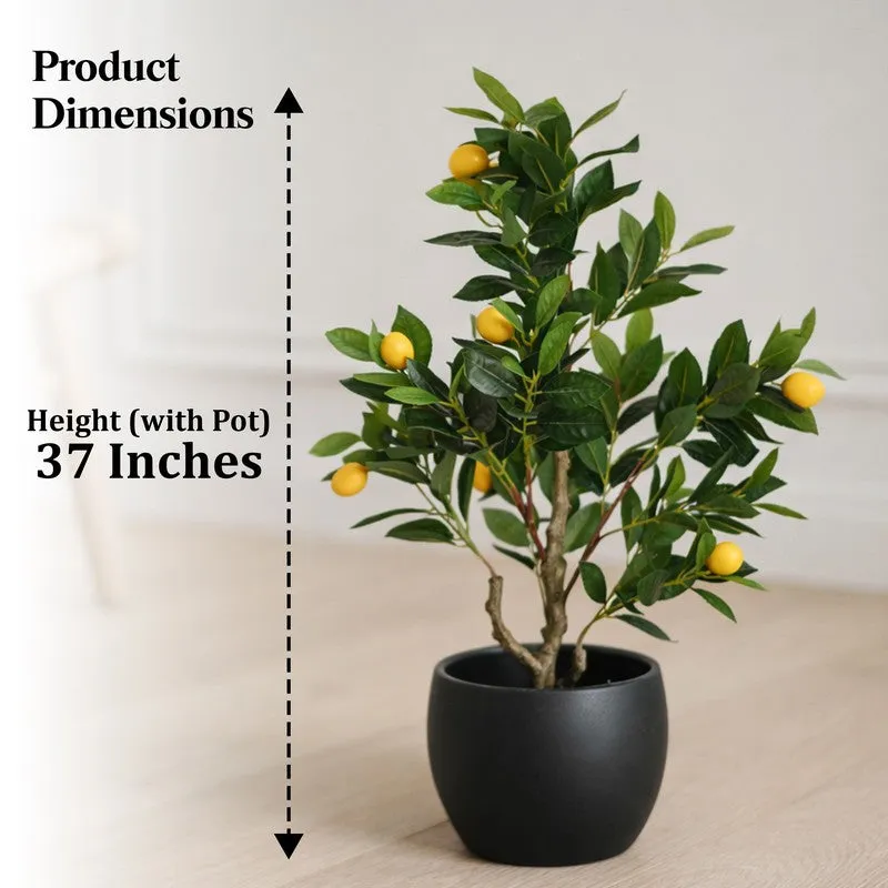Lemon Aura Artificial Plant With Black Plastic Pot - 93 cm (3.1 ft) media 12