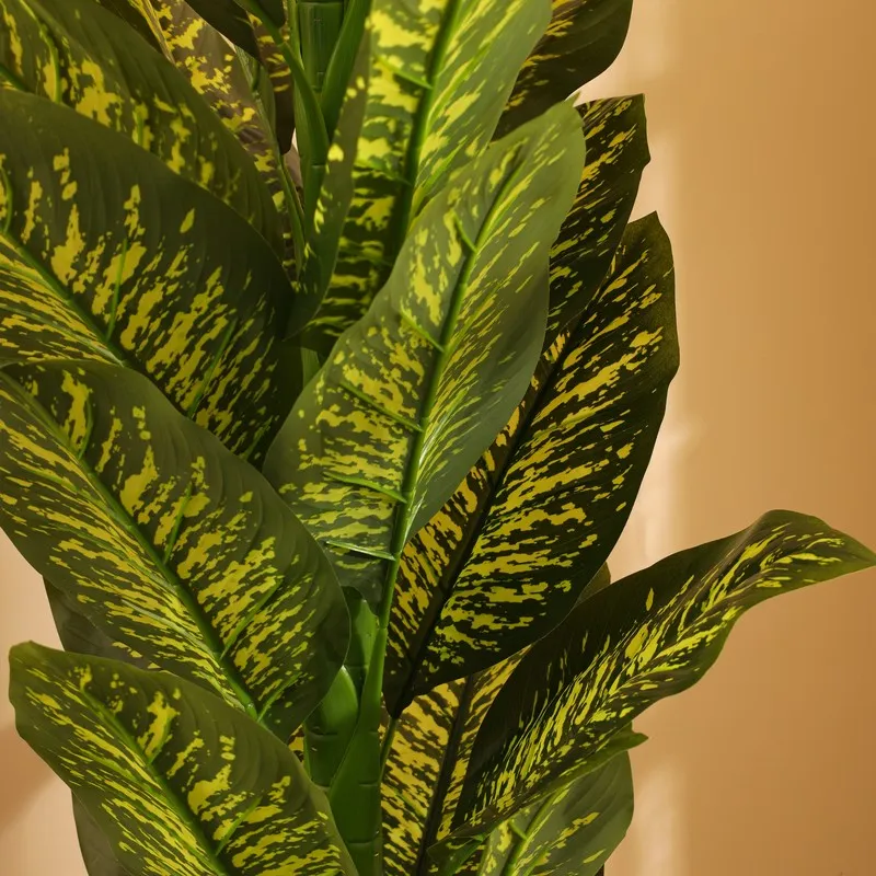 Artificial Dieffenbachia Plant With Black Plastic Pot 5.5 ft media 7