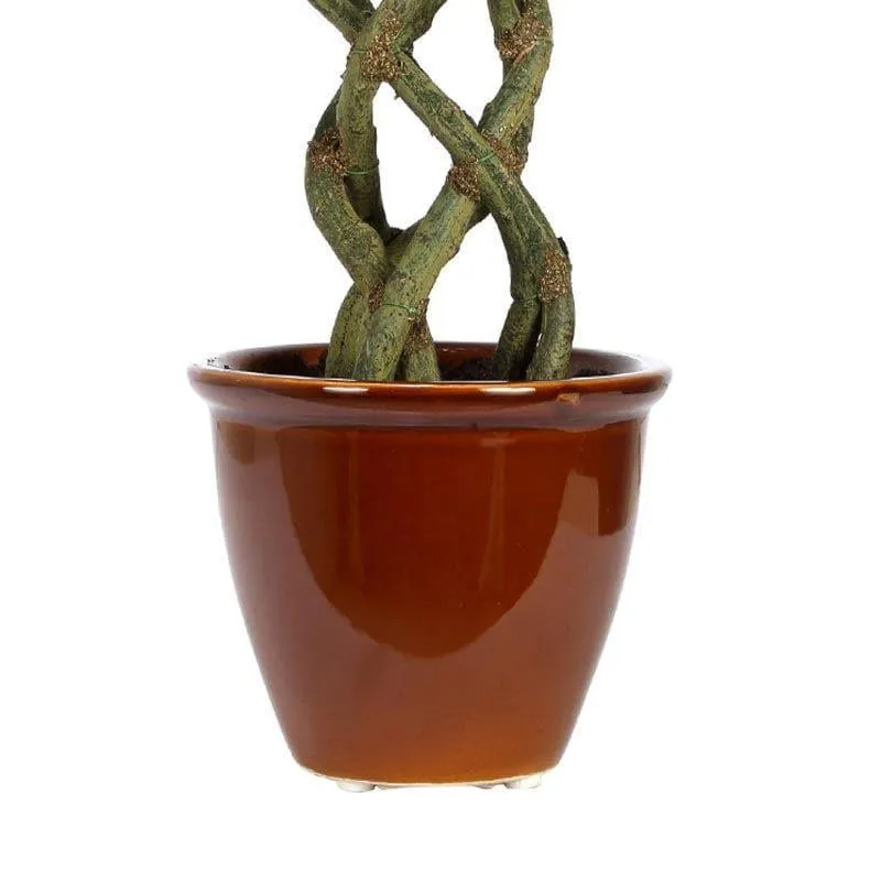 Faux Creeper Ficus Bonsai (41 cms) - Green media 4