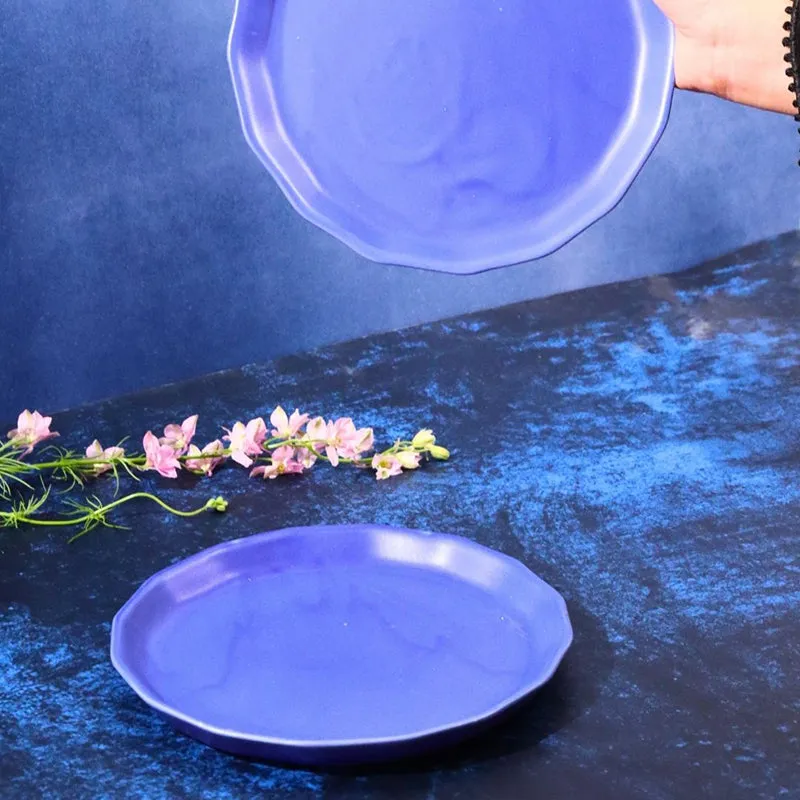 Gino Ceramic Quarter Plate media 5