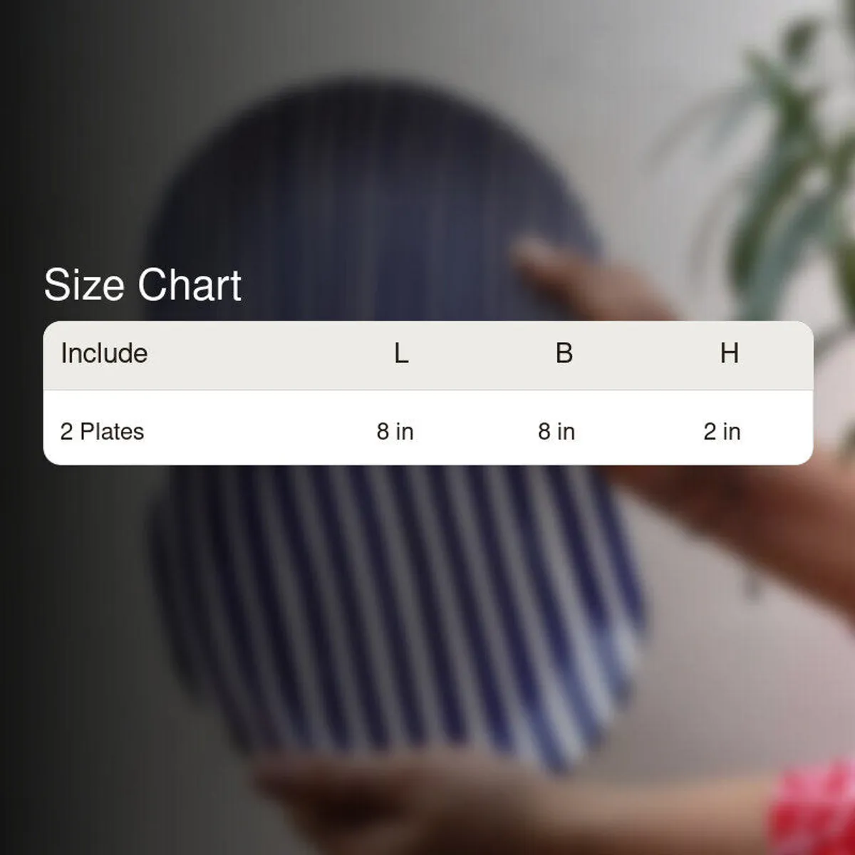 Blurred plate background with size chart overlay