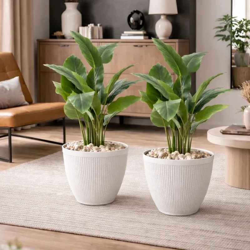 BloomBin Planters (White) - Set Of Two media 5