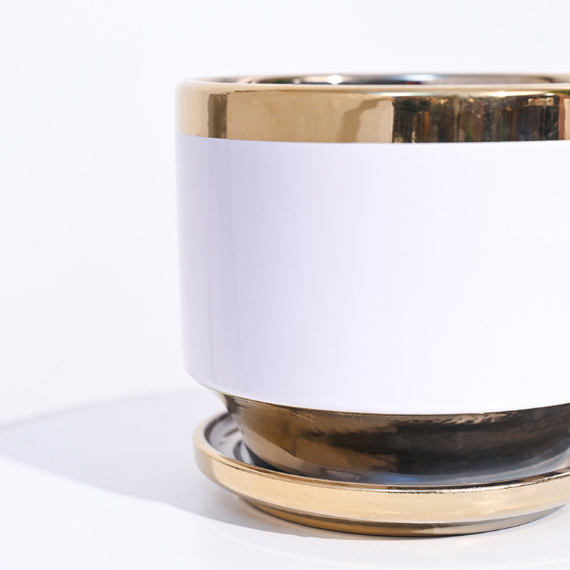 Ugaoo Athenian Ceramic Planter - White media 3