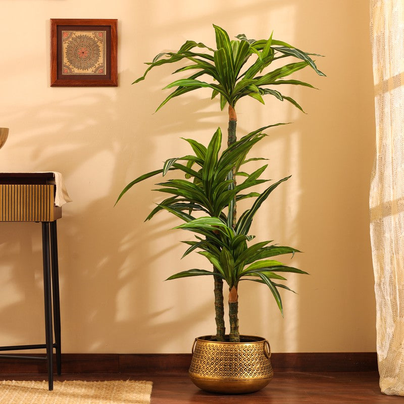 Artificial Variegated Dracaena Plant With Black Plastic Pot 5 ft