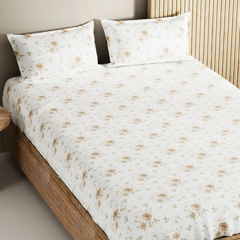 Novira Fitted Cotton Bedsheet (Brown) - 144 TC media 4