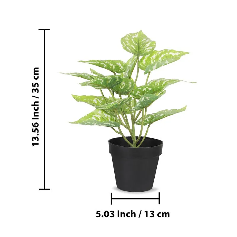 Neonix Money Artificial Plant With Plastic Pot - 1.2 Feet media 7