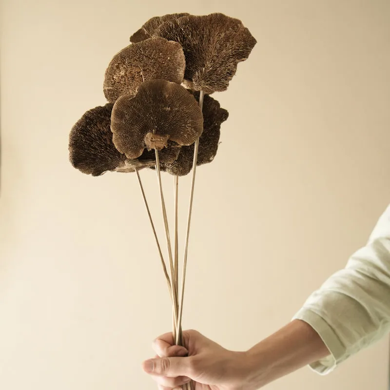 Natural Sponge Mushroom Bunch - Set Of Five media 1