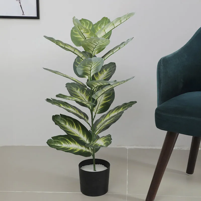Tropilush Artificial Dieffenbachia Plant With Black Plastic Pot - 2.6 Feet media 3