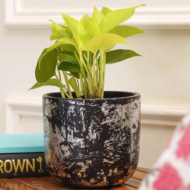Silver Embossed Planter media 3