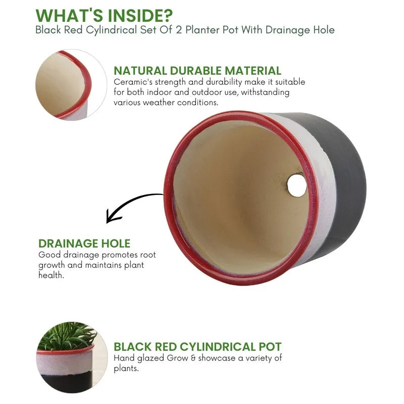 LuxeBloom Planter Collection - Set Of Two media 7