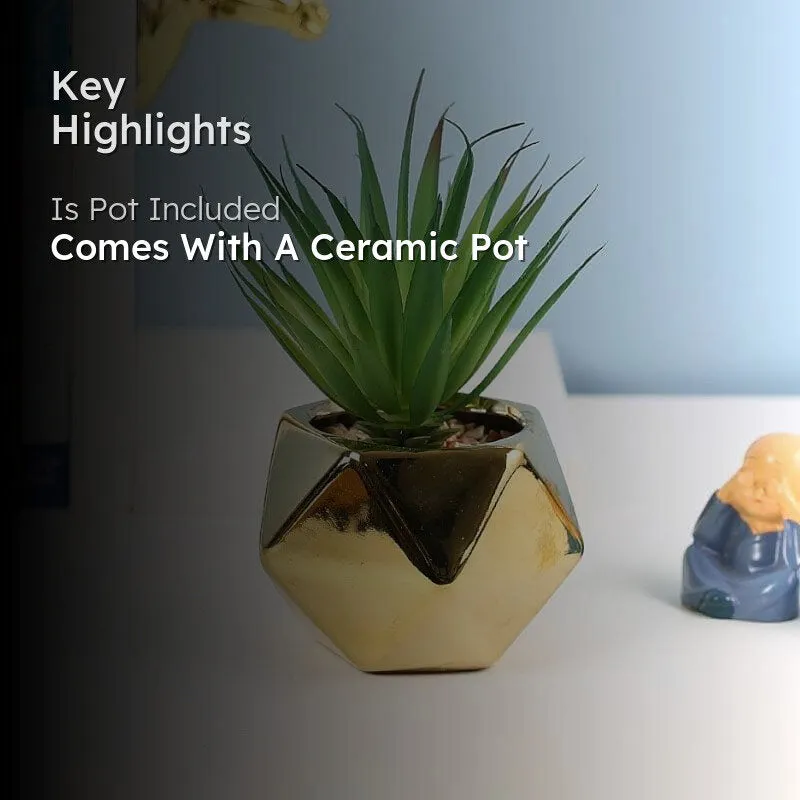 Faux Haworthia In Gold Ceramic Pot - 16 cms media 2